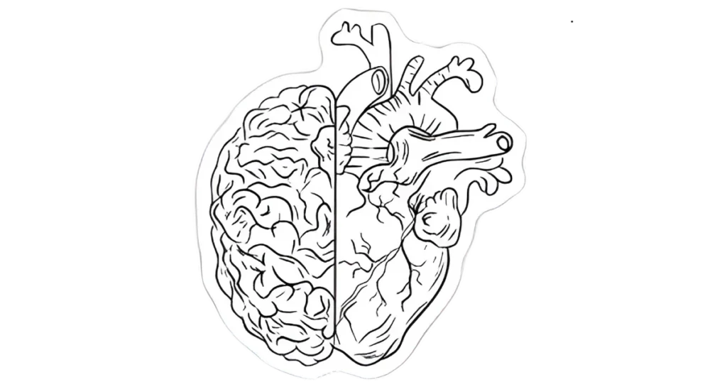 Das komplexe Zusammenspiel von Herz und Gehirn in Trauma und Beziehung.

